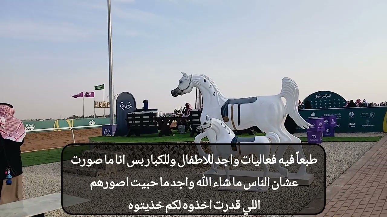 فديو حلو بسباق الخيل #اكسبلور #خيل 