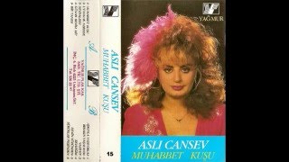 Aslı Cansev - Aşkınla Yaşıyorum  Resimi