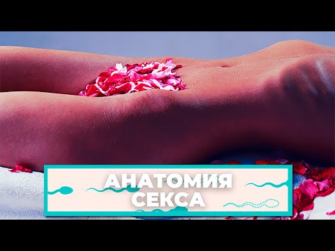 СЕКС ВО ВРЕМЯ МЕСЯЧНЫХ 🌹. Развенчиваем мифы