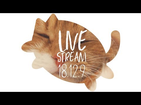수리노을 고양이가족 2018년 12월 9일 LIVE 【SURI&NOEL】