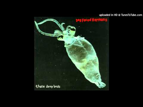 Dog Faced Hermans - Virginia Fur