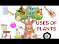 PLANTS- OUR GREEN FRIENDS/ USES OF PLANTS / EVS/ Class 1/NCERT