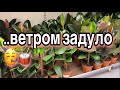 #958 ..гуляем с попутным ветром🥳🌝а это значит чтооо..??🙌😁🌴