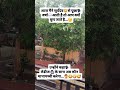 आज मैंने सूर्यदेव से पूछा...😂😁👉🏻#trendingshorts #funny #surydev #ytfacts