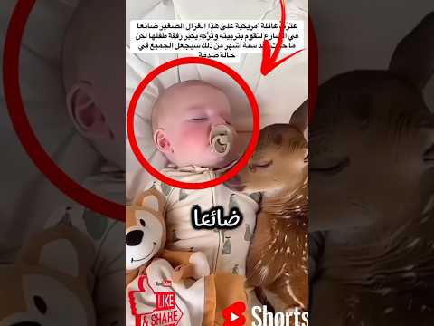 عثرت هذه العائلة الأميركية على غزال ضائعا في الشارع فأخذته لتربيه مع ابنها لكن الصدمة عندما كبرت