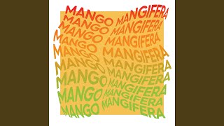 Mango Mangifera