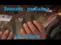 Диалоги о рыбалке -  207- Нижний Новгород, рыбалка в Разнежье
