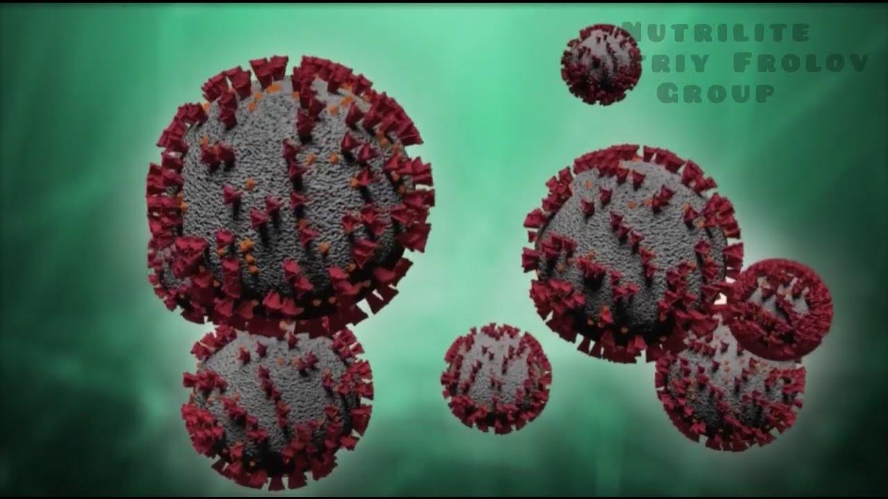 Смесь Пищевых Волокон с инулином / Жевательные таблетки (NUTRILITE ...