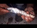 Sea Snakes How to catch sea snakes and how to cook them