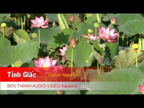 [Karaoke] Tỉnh Giấc - Candy Nguyễn | Beat Chuẩn