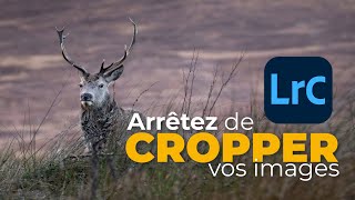 Arrêtez de CROPPER vos images Volet 01