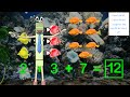 Understanding the Commutative Property
