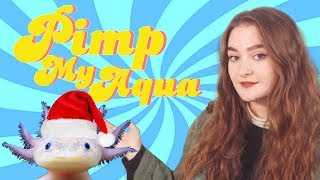 JE PIMPE SON AQUARIUM POUR NOËL