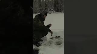 #таежный зима,кайф