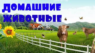 Звуки домашних животных для малышей. Домашние животные на русском с озвучкой. Как говорят животные Звуки домашних животных для малышей. Домашние животные на русском с озвучкой. Как говорят животные