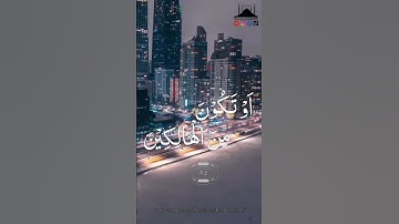 ماتيسر من سورة يوسف للشيخ عبدالحفيظ بلعروسي 🌷