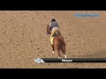 Hence gallop 4.28