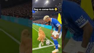 Dog took neymar's corner kick 🐐😂 #soccer #dog #funny