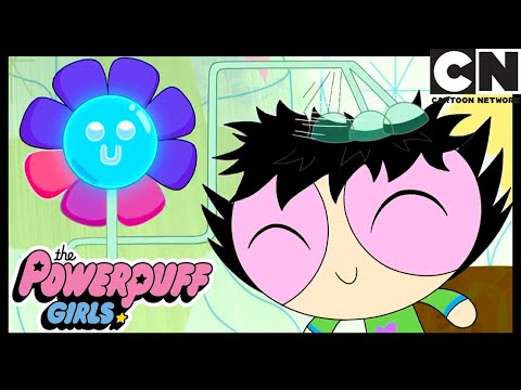 Technology War | Powerpuff Girls | Cartoon Network