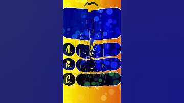 Science MCQ Test Class 10||MCQ Questions 10 Class #Shorts