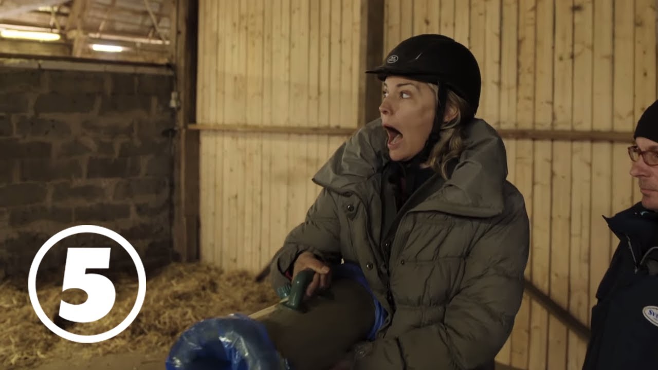 Hingsten är redo och Carina Berg är livrädd  | Världens tuffaste jobb med Carina Berg