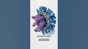 Nieuw grieppreventiemiddel zou vaccins kunnen overtreffen