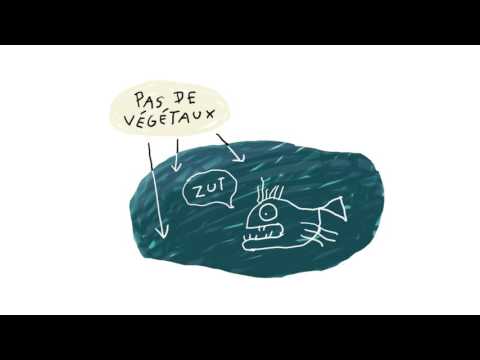 Vidéo: Qu'est-ce que l'opportunisme ? Entente