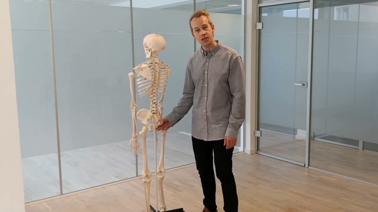 Halebenssmerter - Coccygodynia - korsbenet - Haleben - Årsager - Behandling - Osteopati