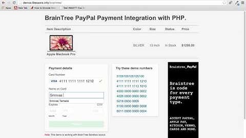 BrainTreen Payment PHP Integration