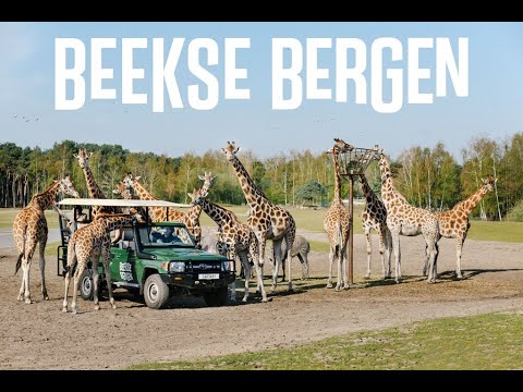 Video: Dierenpark Safari West: meer dan een dierentuin