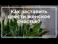 Как заставить цвести женское счастье? | toNature.Info