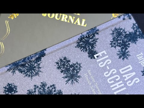 Das Eisschloss #shorts #booktube #bookstagram #booktok #bookjournal