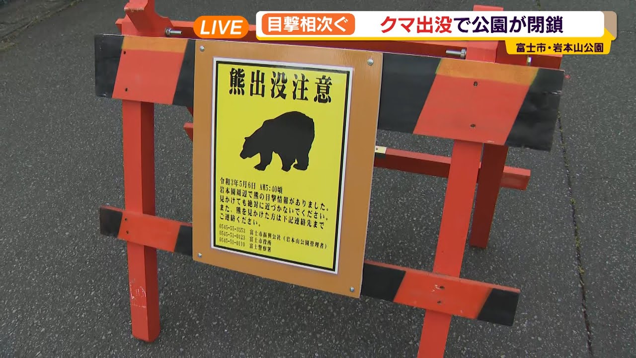 中継】富士市と富士宮市で目撃相次ぐ クマ出没か - YouTube 