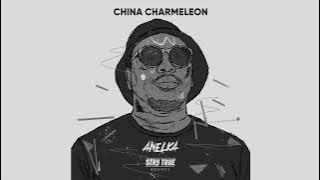 China Charmeleon Ft. Nastic Groove - Change My Mind