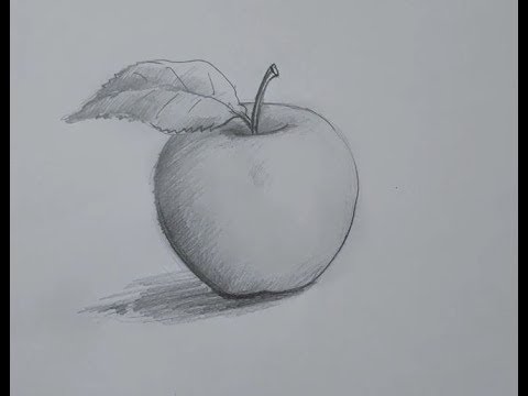 23,000+ Apple Sketch Stock Photos, Pictures & Royalty-Free Images - iStock  | Apple drawing, Isaac newton