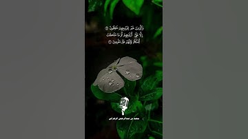 " والذين هم لأماناتهم وعهدهم راعون " تلاوة عذبة بصوت سعيد الزهراني