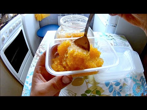 Как долго сохранить щучью икру (Будни охотника и рыбака)