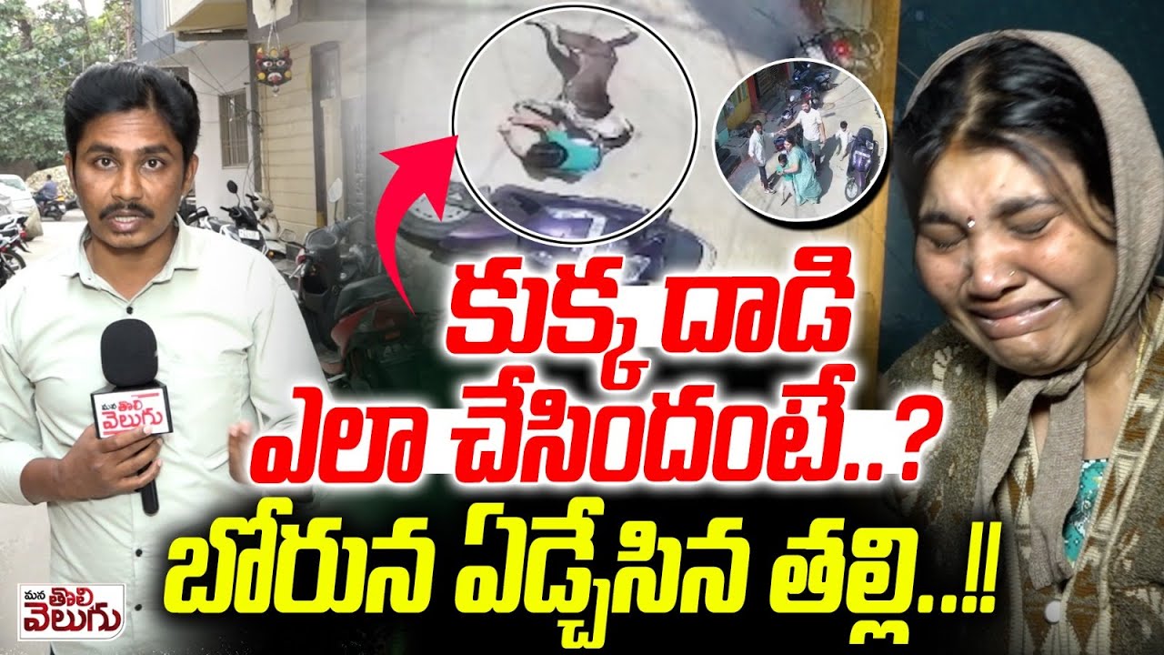 కుక్క దాడి ఎలా చేసిందంటే? బోరున ఏడ్చేసిన తల్లి ! | Stray Dog Attack On Child At Khairtabad