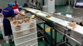 Swing arm type weight sorter for roast chicken