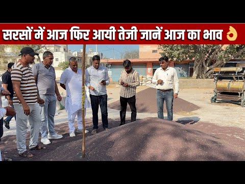 सरसों में आज फिर आई तेज़ी 🤯 | Sarso ka bhav aaj ka
