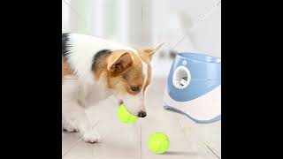 Automatic ball launcher for dogs with 3 adjustable tennis balls