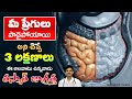 What causes of heartburn  gas trouble  vagus nerve  gastrocardiac syndrome  drravikanth kongara