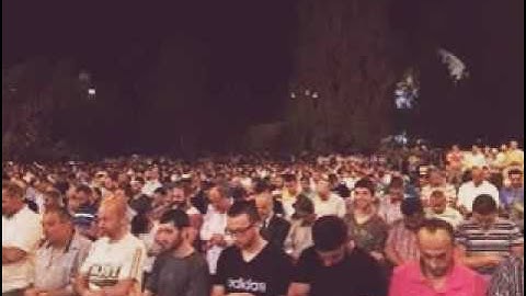 القارئ : حمزة بلخضري