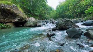 River Sounds for Deep Sleep (No Music, Natural Water)