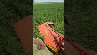Sip roto 180ds