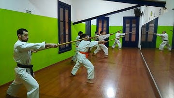 Bo no Fukyu kata Ryukonkai Kobudo