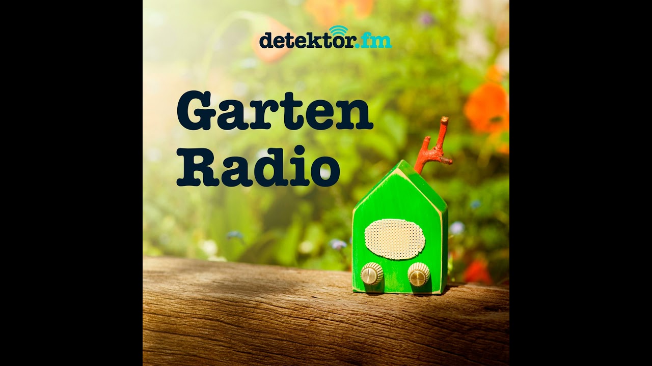 Klaus Umbach – Bio-Cannabis-Gärtner und Hanfaktivist - 246