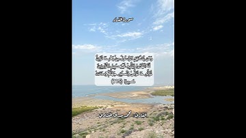 سورة النساء ١١٥ #قرآن #قرآن_كريم #قران #قران_كريم #قرأن #quran