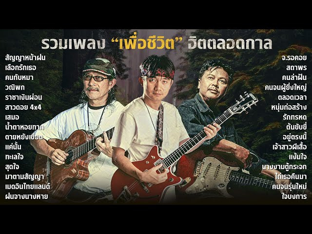 รวมเพลงเพื่อชีวิต คาราบาว | พงษ์สิทธิ์ คำภีร์ | พงษ์เทพ กระโดนชำนาญ class=