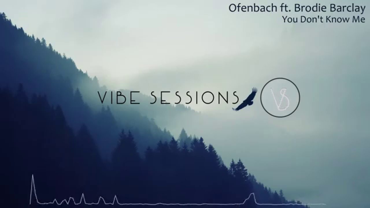 Ofenbach ft. Brodie Barclay - You Don't Know Me